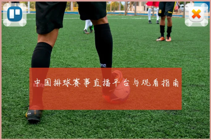 中国排球赛事直播平台与观看指南