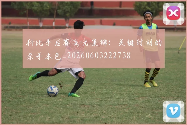 科比季后赛高光集锦：关键时刻的杀手本色_20260603222738